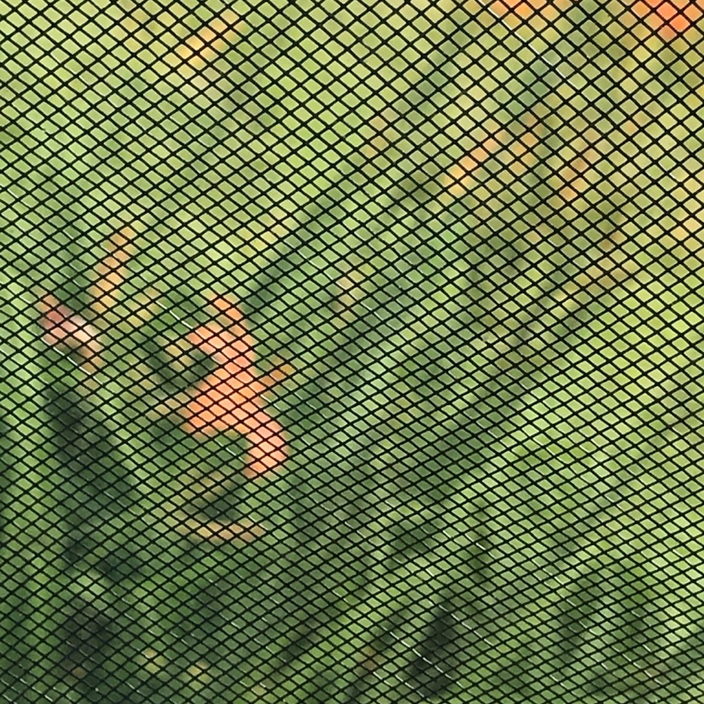 Meet your Posher, Salma